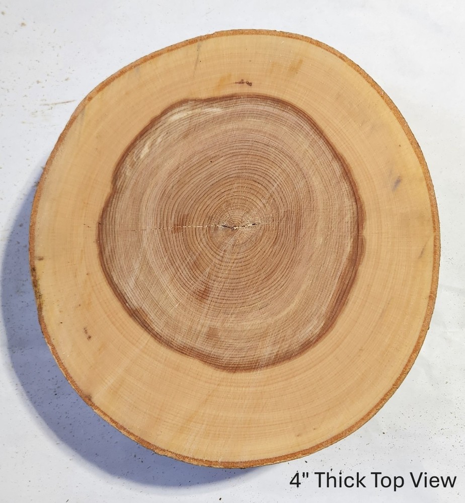 12" Wide 3" Thick Natural Beech Tree Wedding Cake Stand