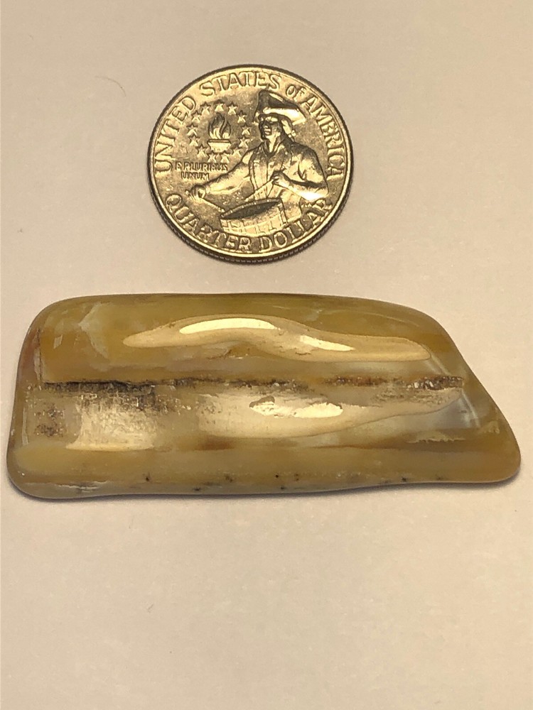 Yellow Petrified Wood. 18g
