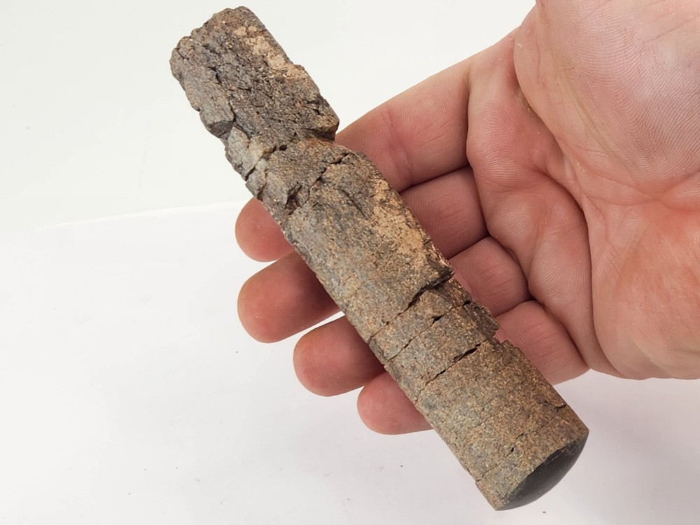 Polished Dinosaur Bone (Rib?) Fossil - Morrison Fm.