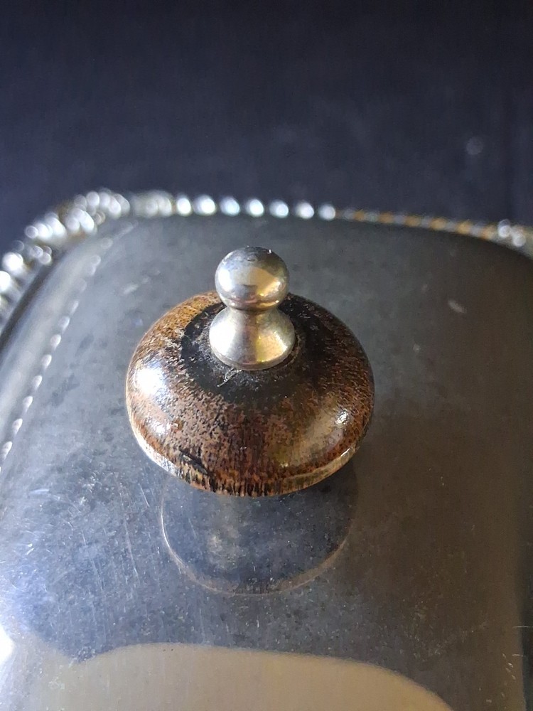 FB Rogers Small Silent Butler/Server Silver On Copper