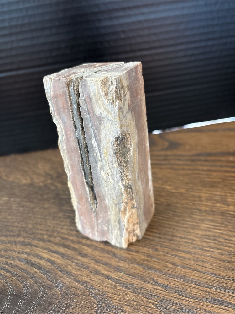 Petrified Wood