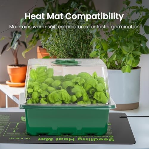 Seed Starter Kit with Grow Light, Elevated 12 Cells With Light-4 Packs Green