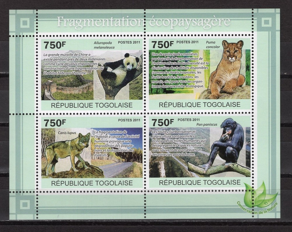 TOGO 2011 Fauna - Animals  M1977