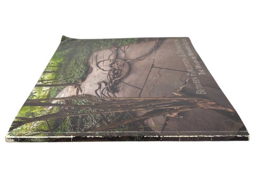 Winifred Lutz BETWEEN PERCEPTION & DEFINITION 2012 Work Art Exhibition Catalog