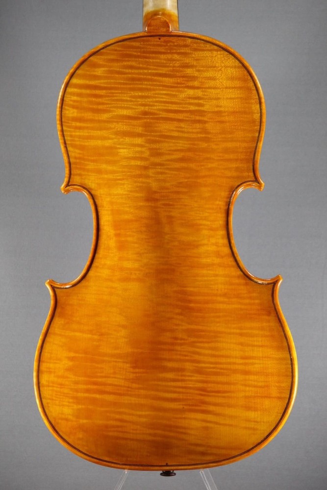 Viola