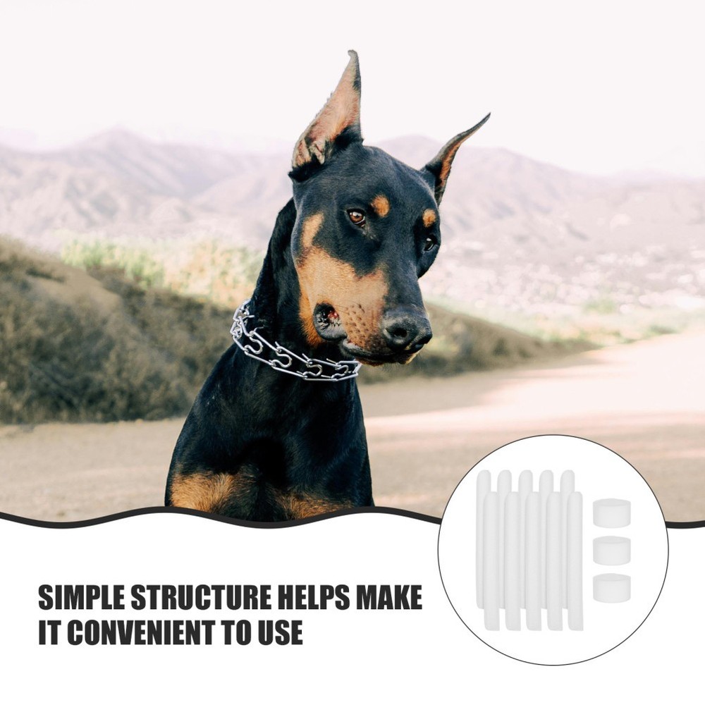 10 Pcs Doberman Ear Posting Kit Dog Tying Device Puppy Support Tool