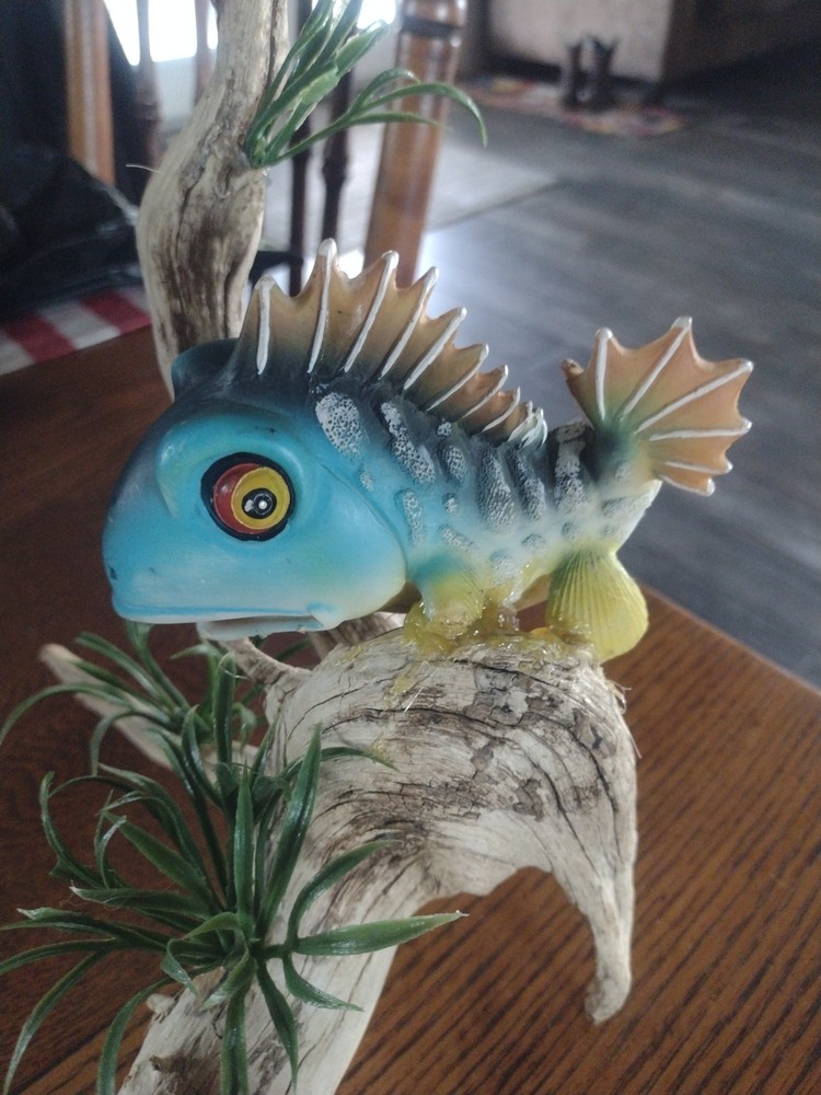 Moss Eater Flexi Fish On Driftwood