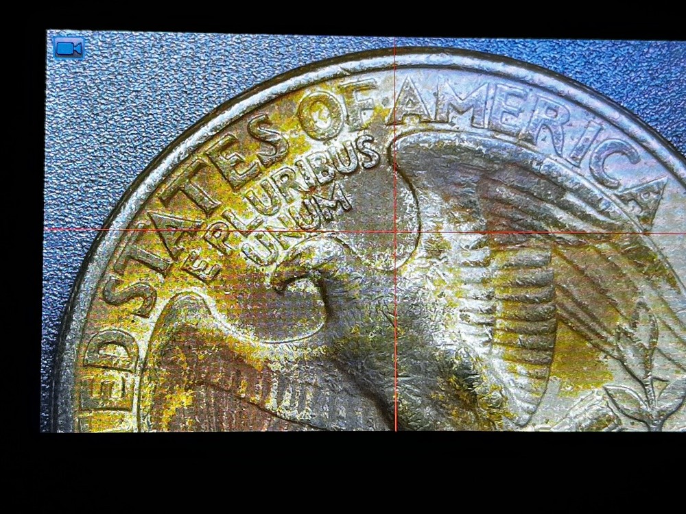 1979 Quarter Filled D Error, Stunning