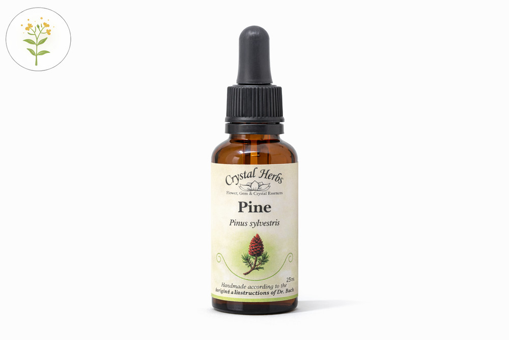 Pine - Bach Flower Remedies