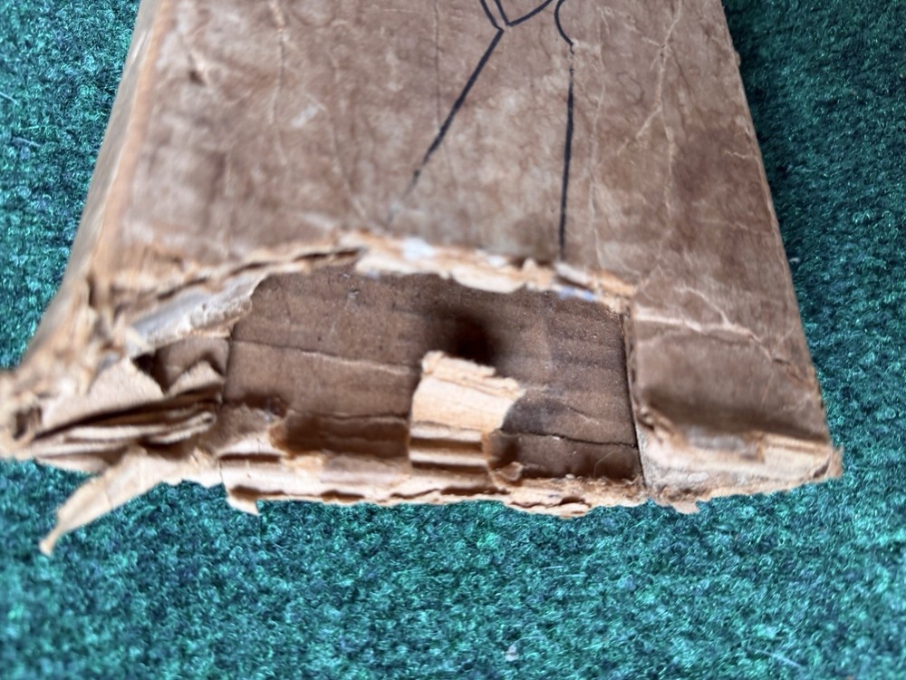 Vintage Daisy Model 25 BB Gun Tested