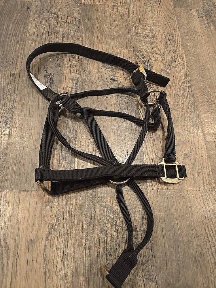 Horse Halter