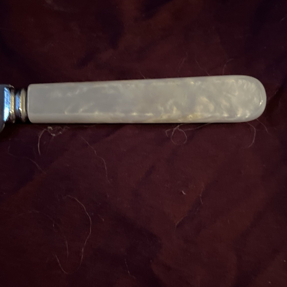 Wedding Cake Knife