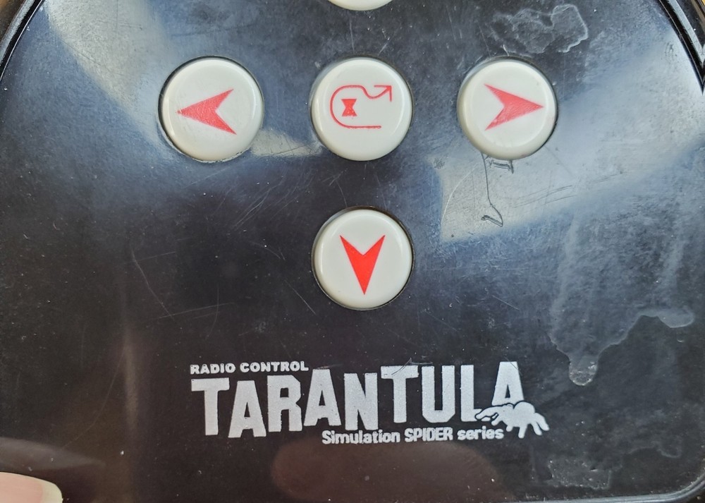 Radio Controlled Tarantula Simulation Spider Series Blue Eyes Tested Works