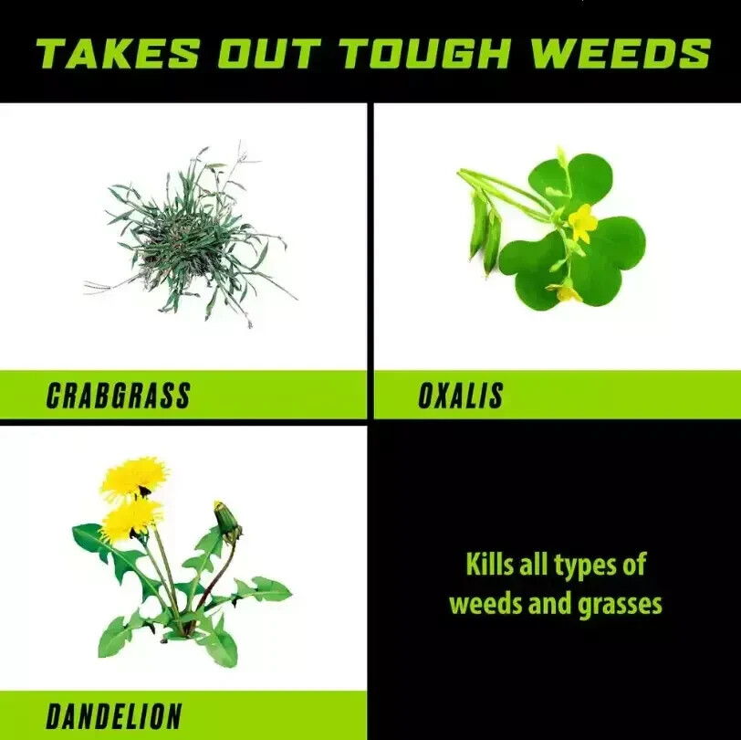 1 Gal. Ready-to-Use Groundclear Weed/Grass Killer