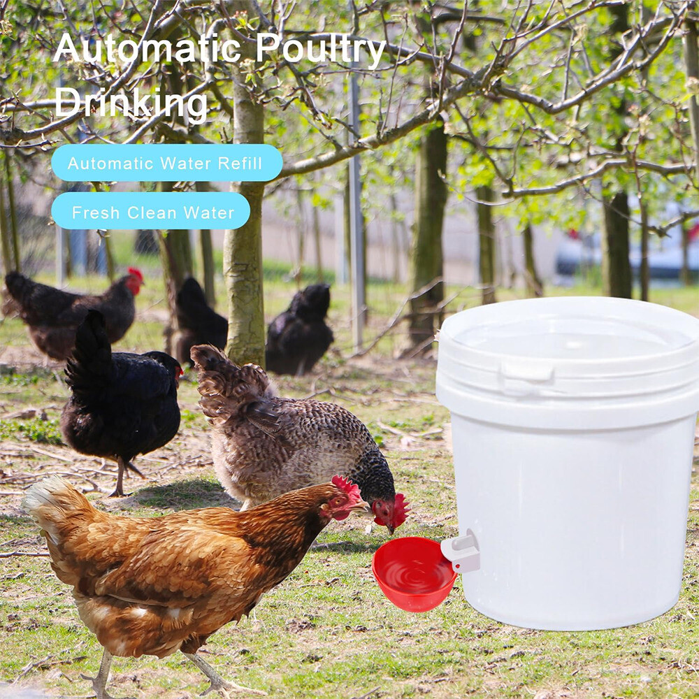 8 PCS Automatic Water Cups Poultry Drinker Waterer Chicken Duck Quail Drinking