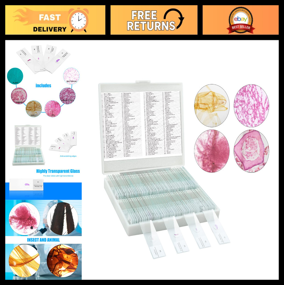 100 Pcs Prepared Microscope Slides Set for Kids, Home School Science Learning