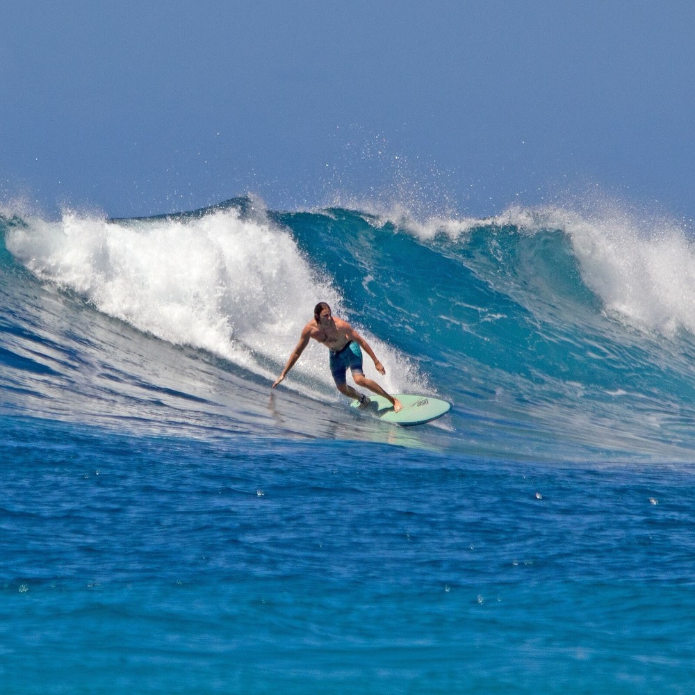 6'6" Retro Egg Surfboard - SeaWeed (P44)