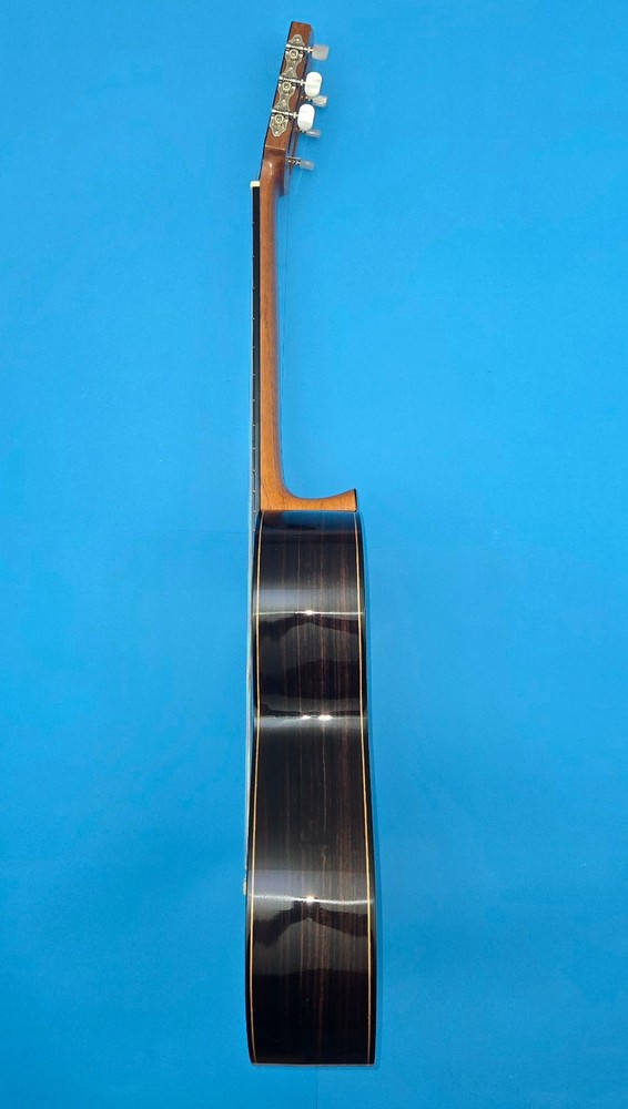 GeronimoGarcia Concert Classical Guitar