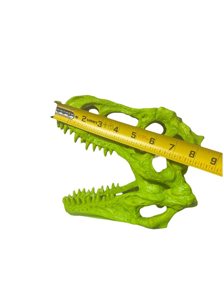 t rex skull replica