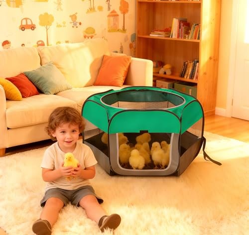 Pop Up Chicken Brooder Starter Kit - Easy to Assemble, Portable & Easy to