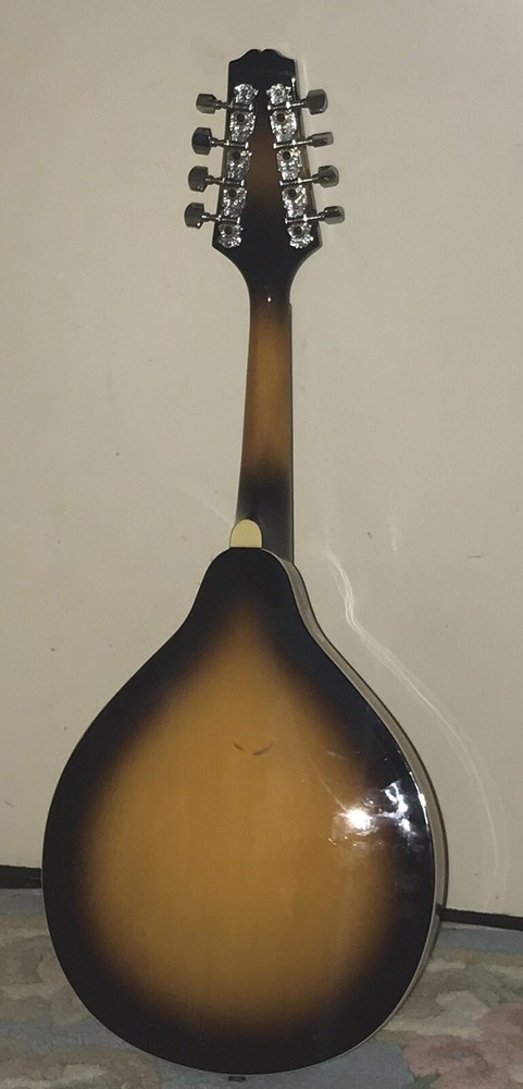 Johnson oval hole mandolin MA-110