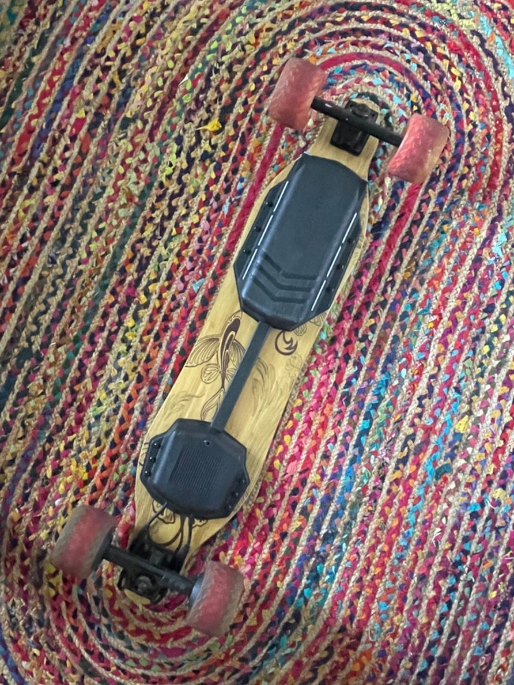 Rare custom electric longboard (backfire GS5 on loaded vanguard bamboo deck