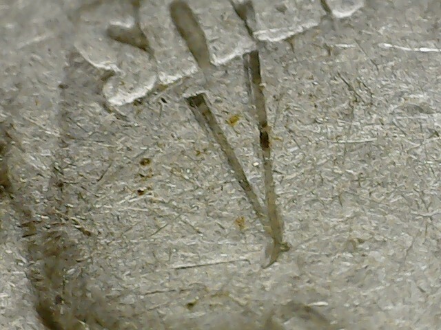 1942-P WALKING LIBERTY 90% SILVER HALF DOLLAR 50C Cent 1/2 STRIKE THROUGH ERROR