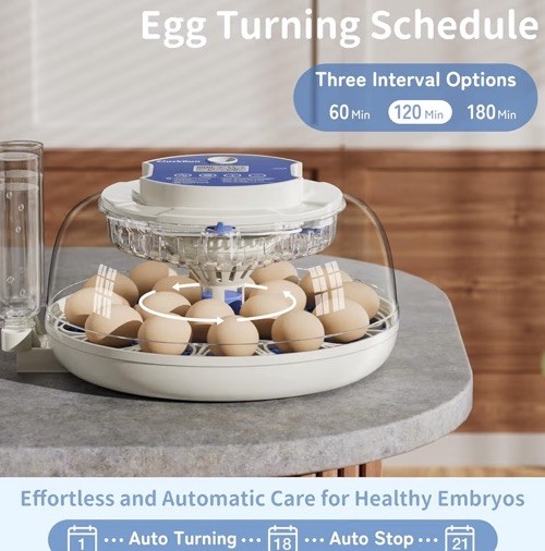 Incubators for Hatching Eggs,18 Egg Incubator with Automatic Egg Turning 🪧