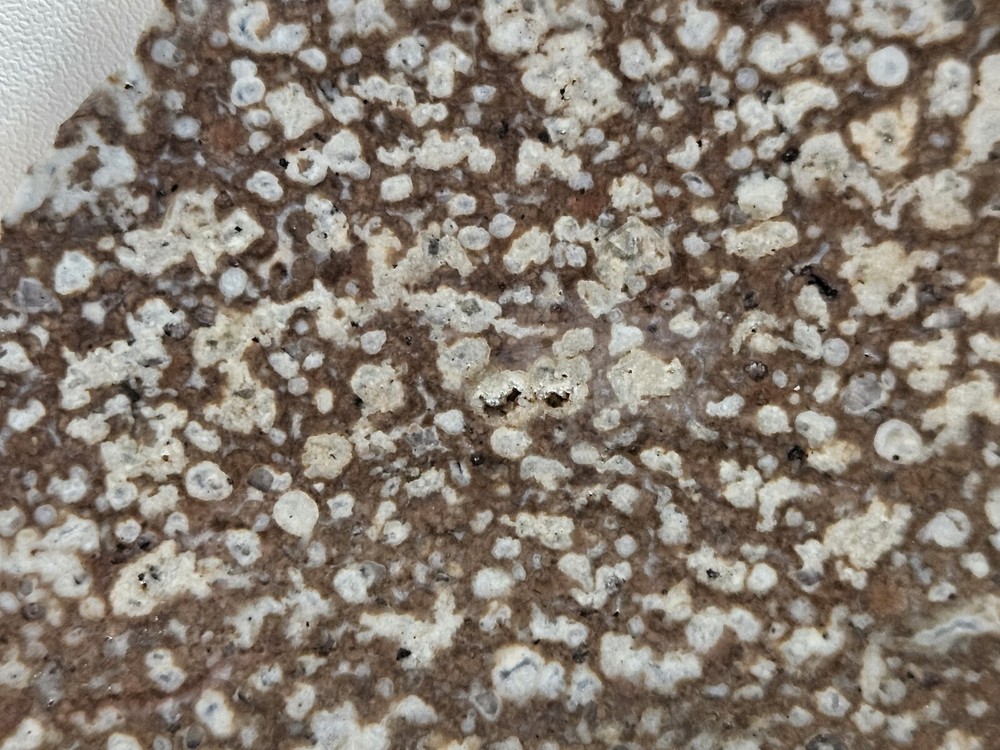 Odd Lapidary Slab 116 Grams