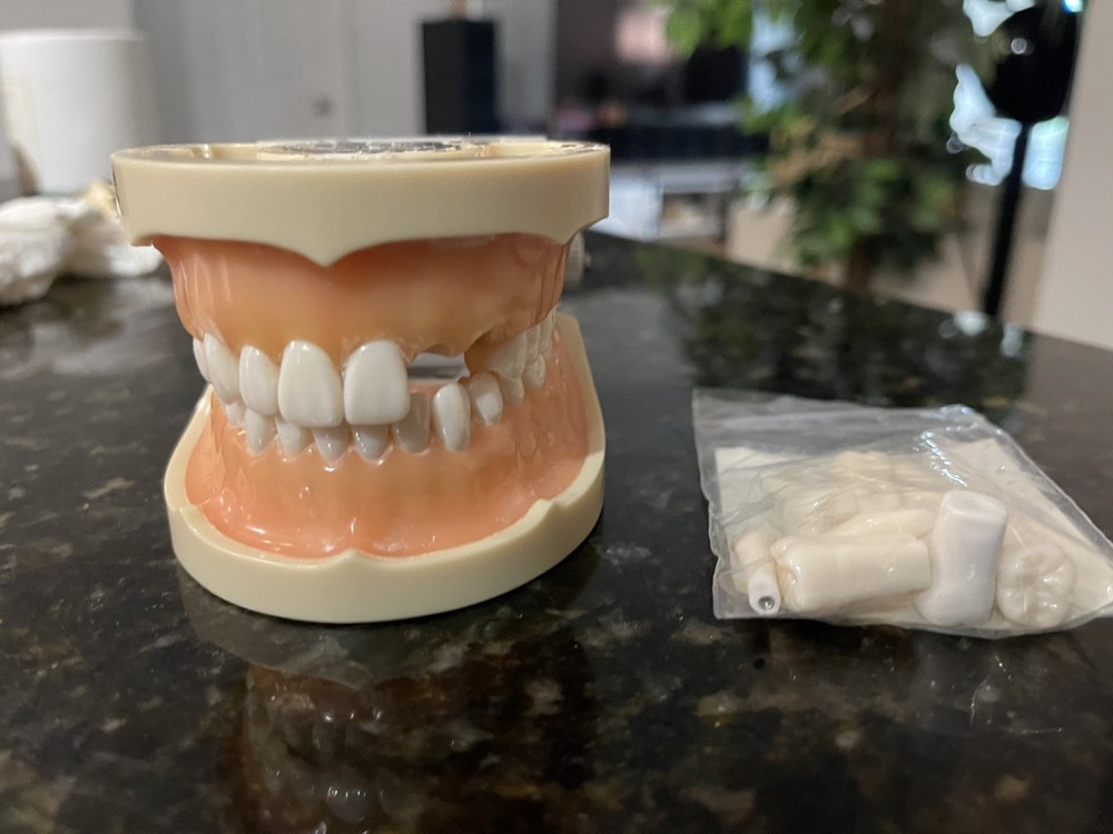 TWO New Nissin Dental Models