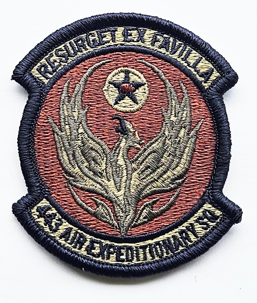 Air Force 443rd Air Expeditionary Squadron Subdued Spice Brown Patch