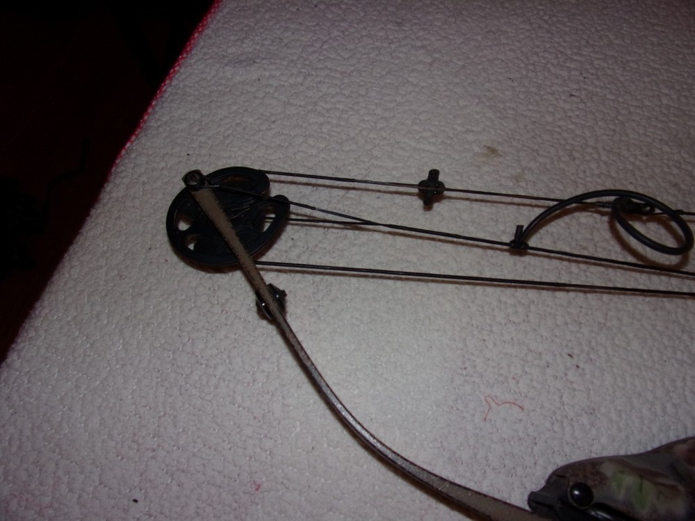 Hoyt Raptor Excel Compound Bow