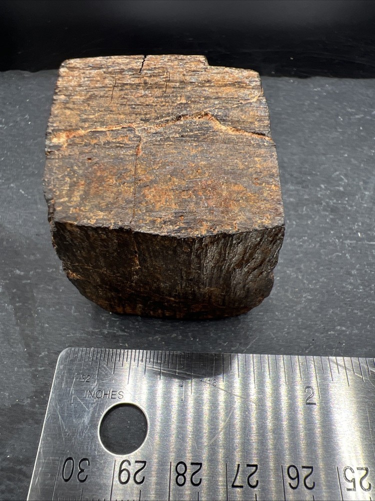 232g Petrified Wood Block Stone