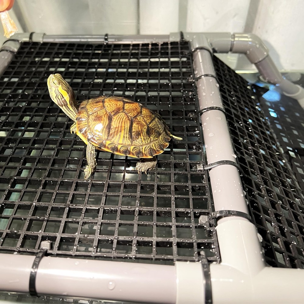 Extra Large Turtle Basking Platform for Aquatic Turtles Tanks Accessories Ram...