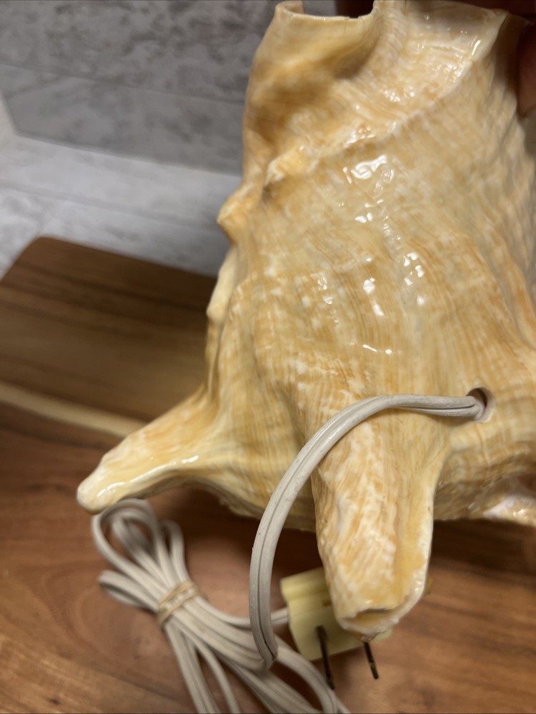 Vintage Polished Conch Shell Sea Shell Lighted Mantle Table Clock - Works - EUC