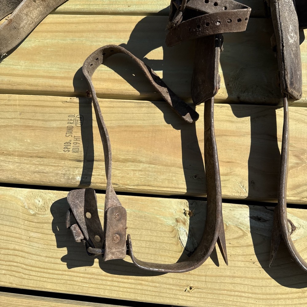 Vintage Pair BUCKINGHAM Climbing Spikes/ Lineman Pole-Tree