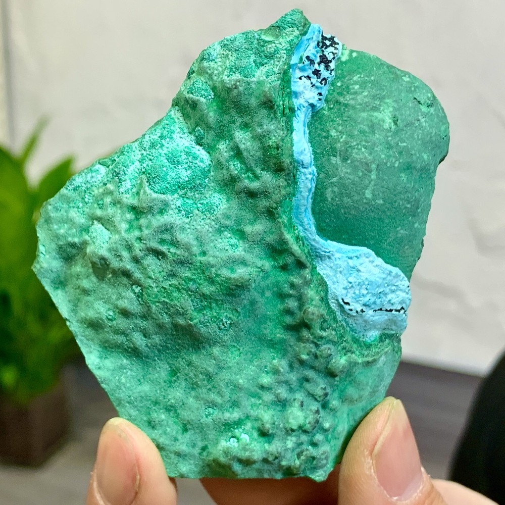 113G Natural Chrysocolla/Malachite transparent cluster rough mineral sample