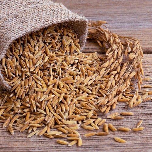 Ceylon Hydroponic Growing Medium Aquodic Rice Husk Hulls 100% Organic Pure