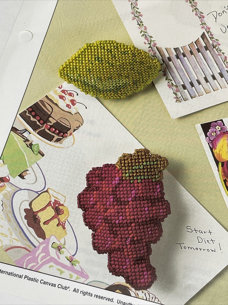 Fruit Fridgies Magnets Annie's Plastic Canvas Pattern