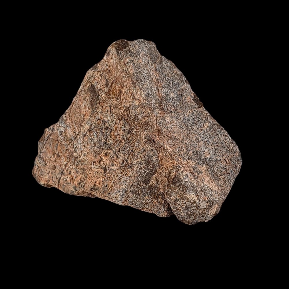 Jurassic Dinosaur Fossil Bone from Morrison Formation Includes Display