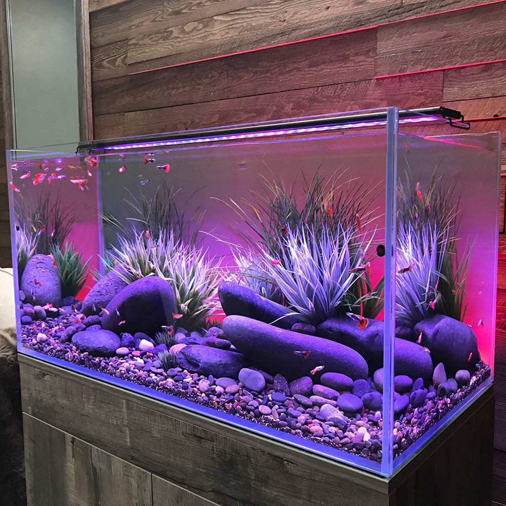 Current USA Serene Aquarium Visual and Audio Aquatic Experience Kit