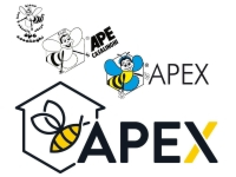 Apex 32Bis Squeegee 35 Cm
