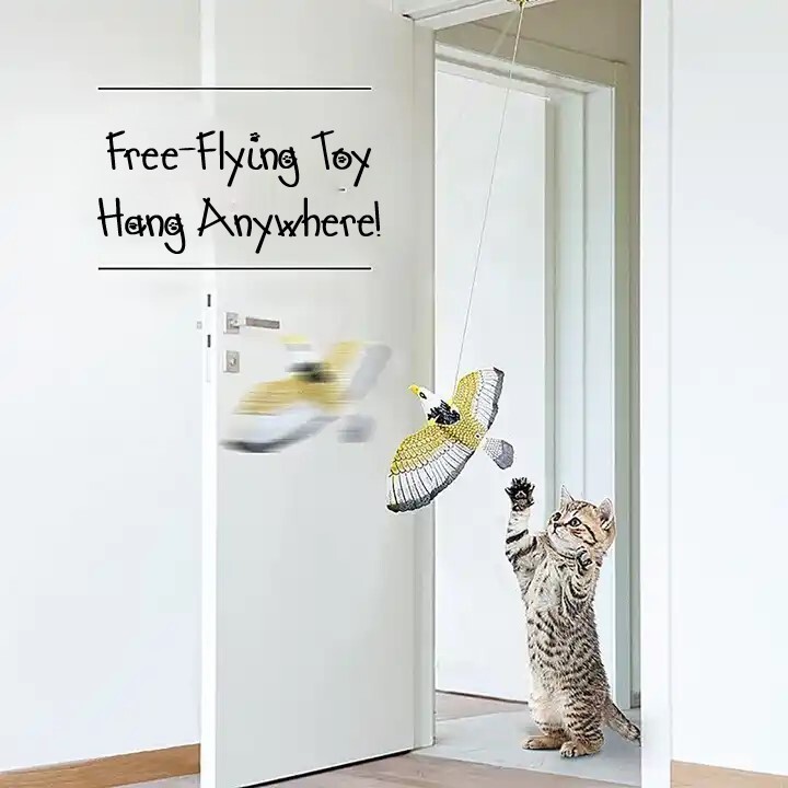 Electronic Interactive Flying Bird Cat Toy | Hanging Pet Stimulation Exercise