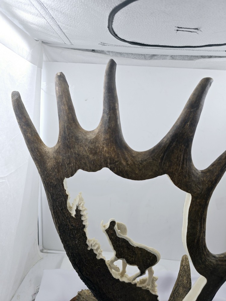 Monte Baker Moose Antler Carving 28x22"