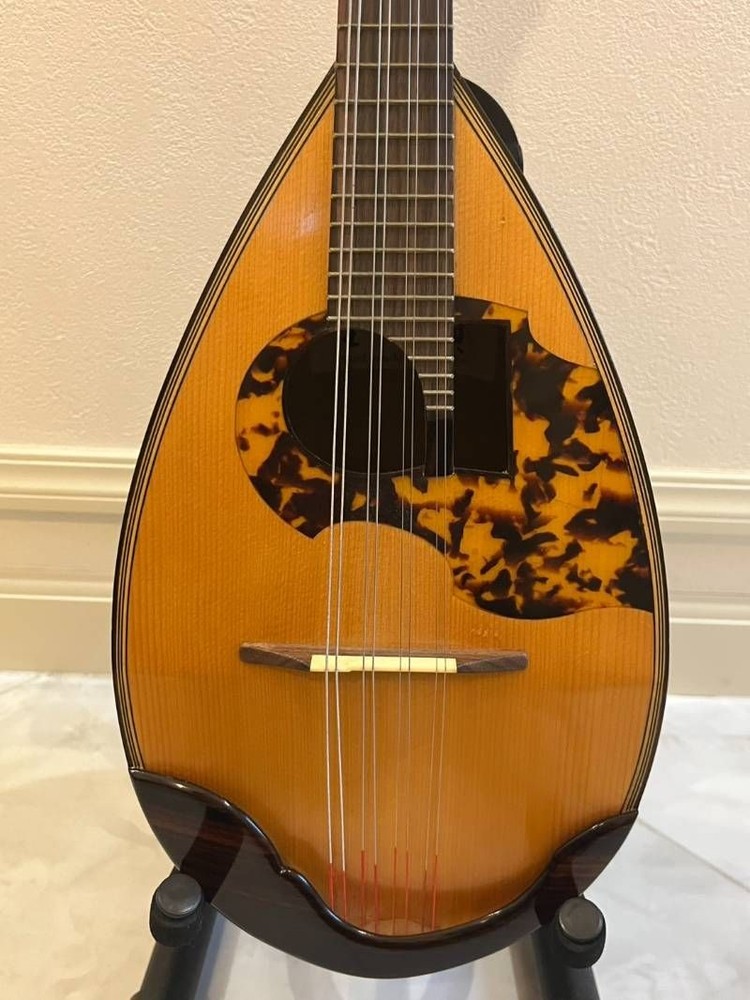 Minoru Noguchi Mandolin String Instrument with Hard Case