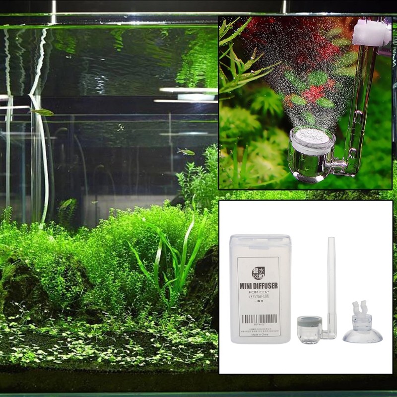 CO2 Diffuser Clear Acrylic Atomizer for Aquarium Planted for Tank Tiny