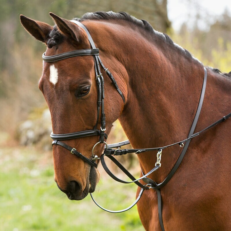 Set Thiedeman Reins