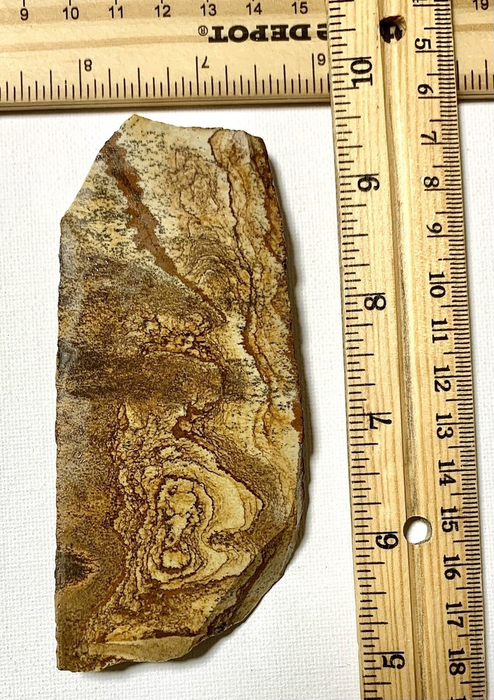 african queen picture jasper