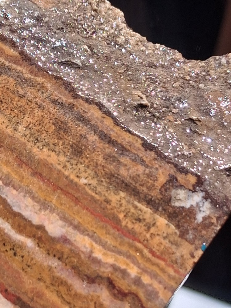 Banded Onyx Lapidary Specimen