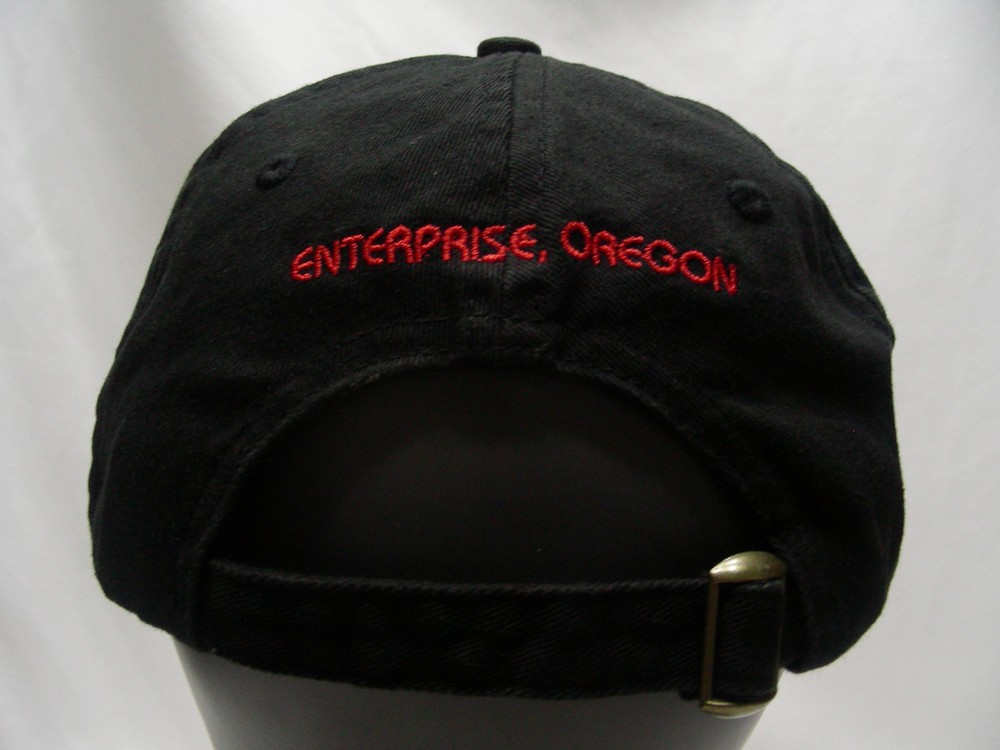 CYCLE OREGON - 2010 - ADJUSTABLE STRAPBACK BALL CAP HAT!